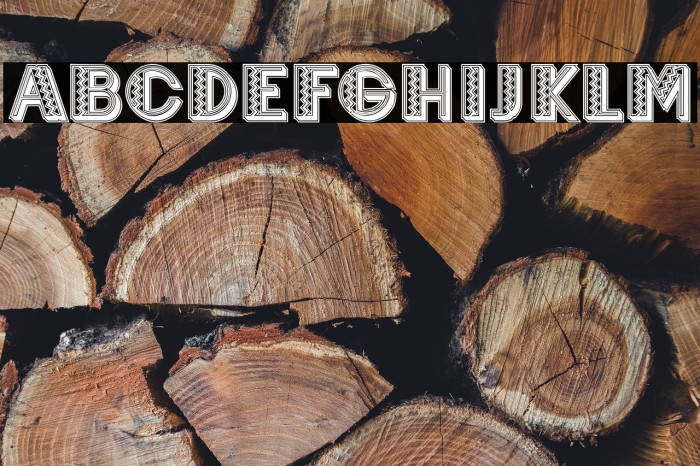 Mexicanero Regular Example 3