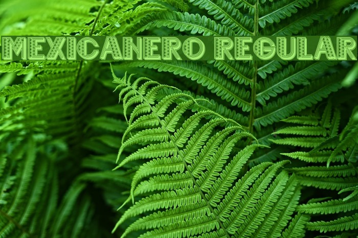 Mexicanero Regular Font examples