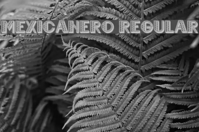 Mexicanero Regular Font examples