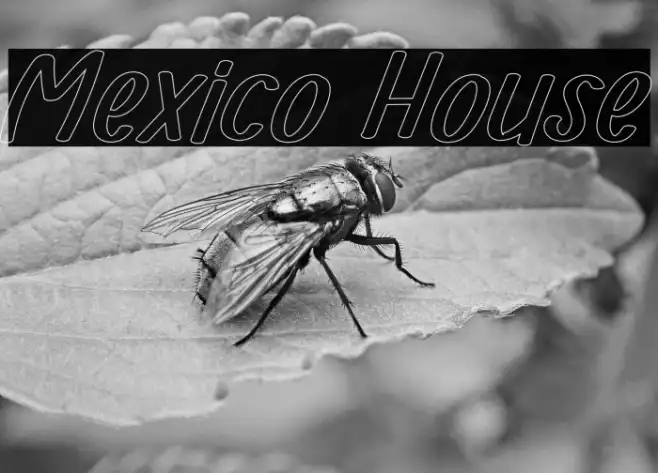Mexico House Example 3