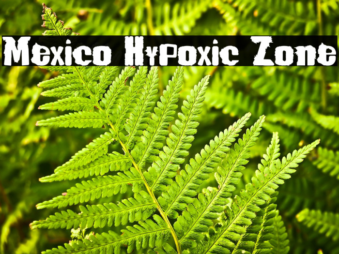 Mexico Hypoxic Zone Example 1