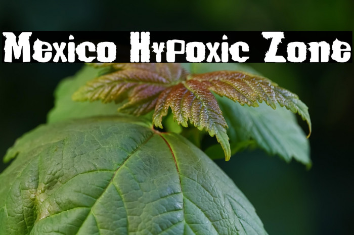 Mexico Hypoxic Zone Example 2