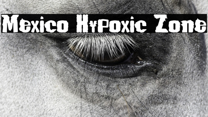 Mexico Hypoxic Zone Example 3