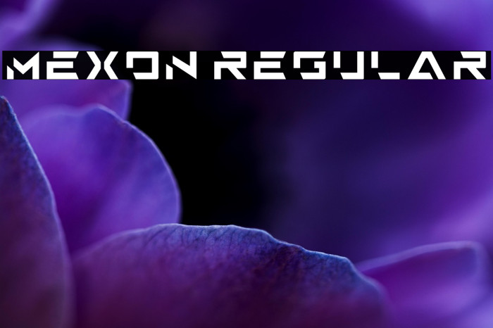 Mexon Regular Example 2