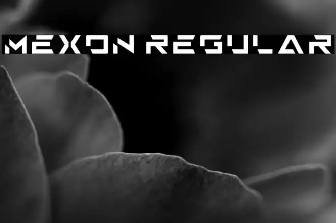 Mexon Regular Example 2