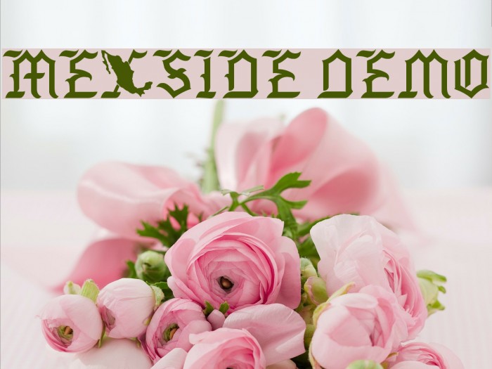 Mexside Demo Font examples