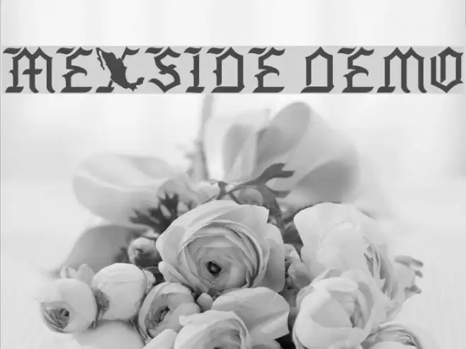 Mexside Demo Example 2