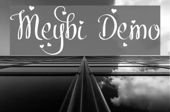 Meybi Demo Example 1