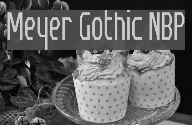 Meyer Gothic NBP Font examples