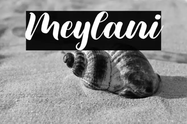 Meylani Example 2
