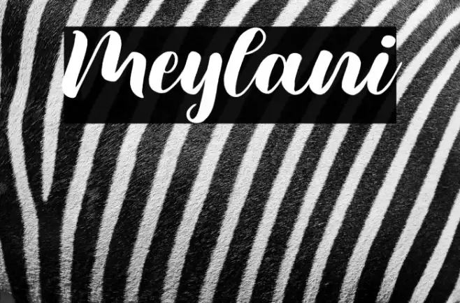 Meylani Example 3