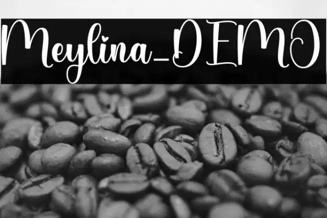 Meylina_DEMO Font examples