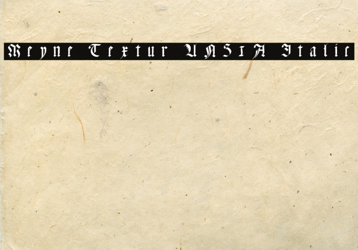 Meyne Textur UNZ1A Italic Font examples