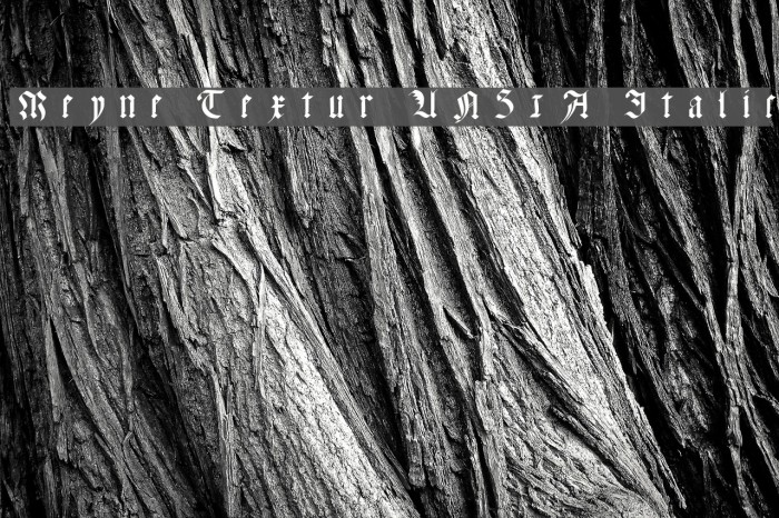 Meyne Textur UNZ1A Italic Font examples