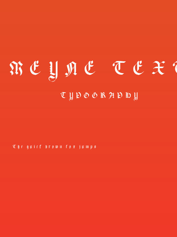 Meyne Textur UNZ1A Italic Poster