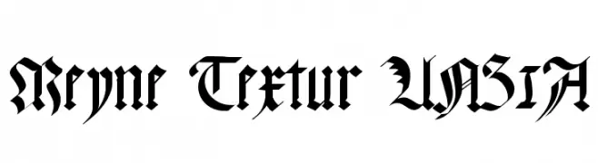 Meyne Textur UNZ1A  Descarca Fonturi Gratis
