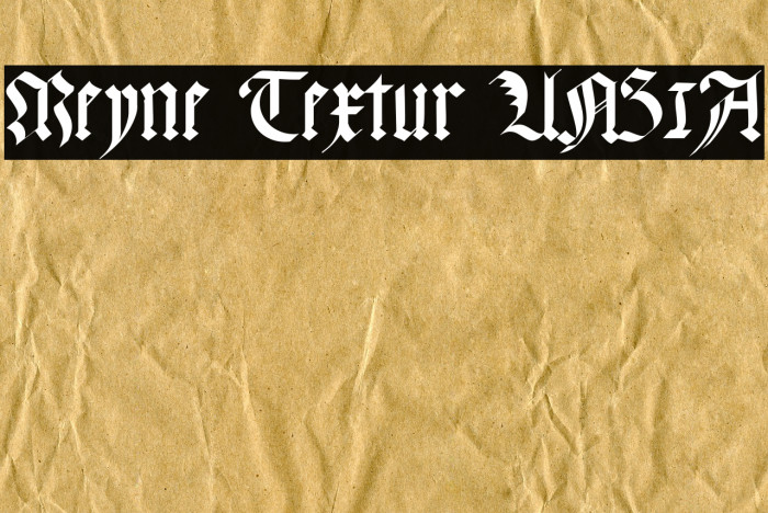 Meyne Textur UNZ1A Font examples