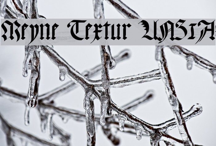 Meyne Textur UNZ1A Font examples