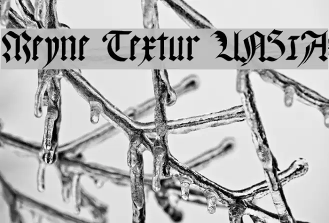 Meyne Textur UNZ1A Fonte examples