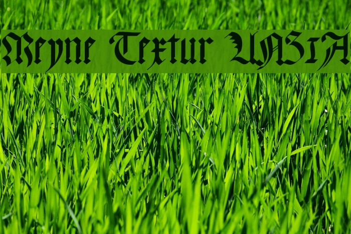 Meyne Textur UNZ1A Font examples