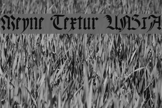 Meyne Textur UNZ1A Fonte examples