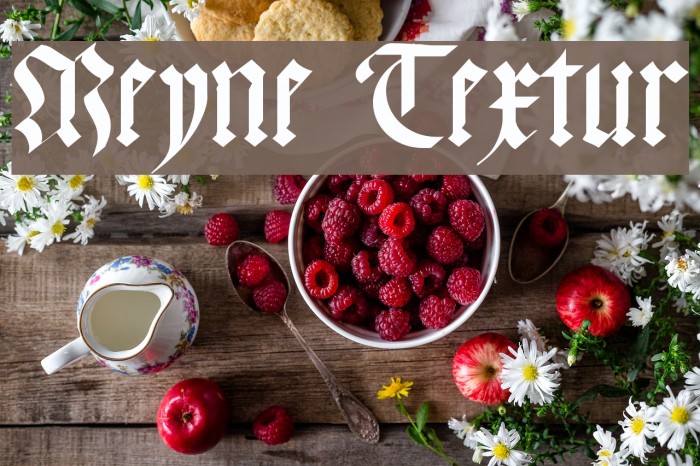 Meyne Textur Font examples