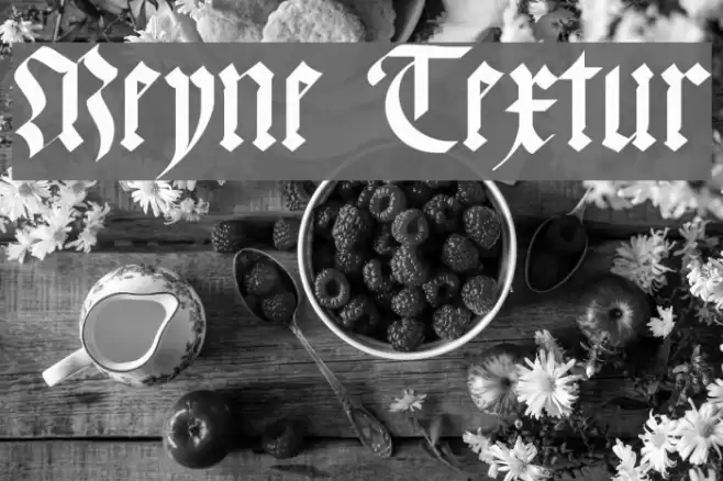 Meyne Textur Fonte examples