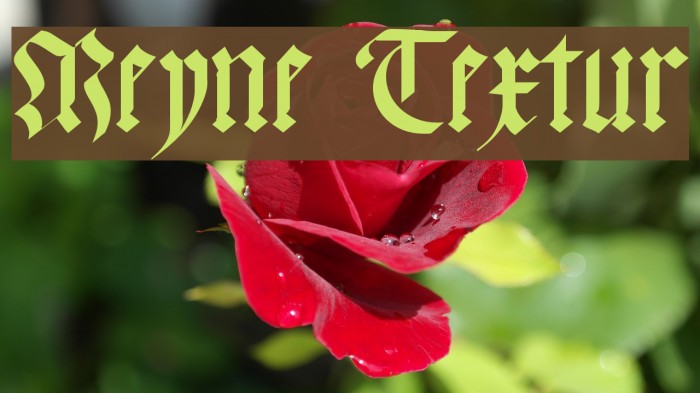 Meyne Textur Font examples