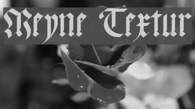 Meyne Textur Fonte examples