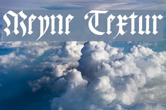 Meyne Textur Font examples