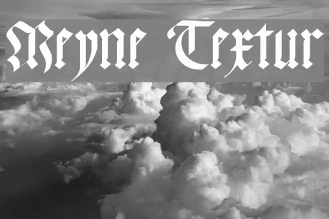 Meyne Textur Fonte examples