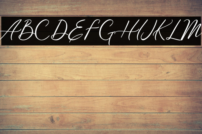 Meysha Demo Regular Example 1