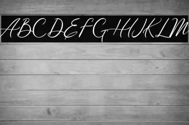 Meysha Demo Regular Font examples