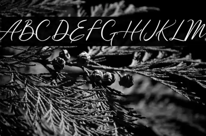 Meysha Demo Regular Font examples