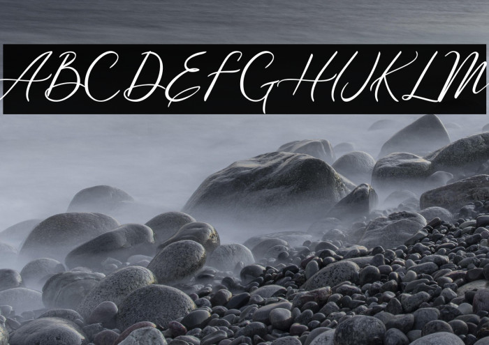 Meysha Demo Regular Example 3