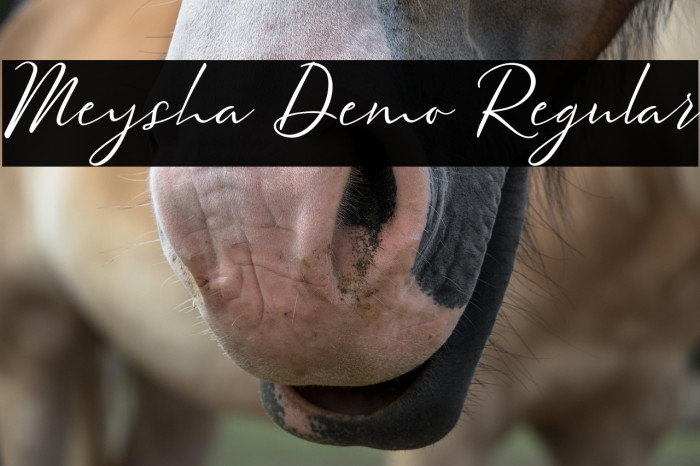 Meysha Demo Regular Example 1