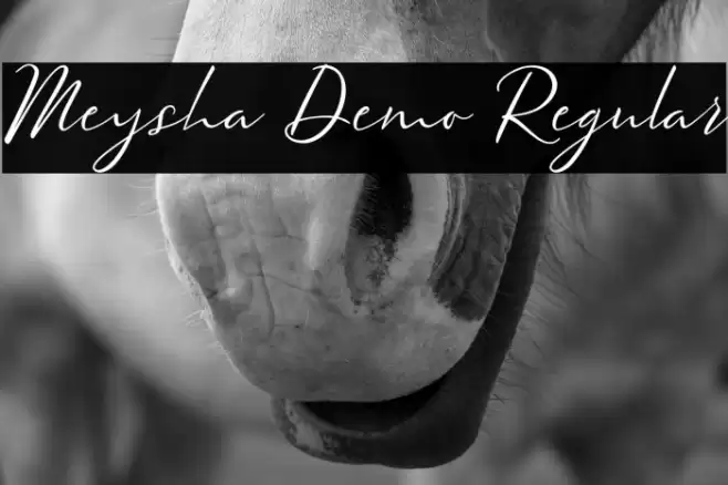 Meysha Demo Regular Font examples