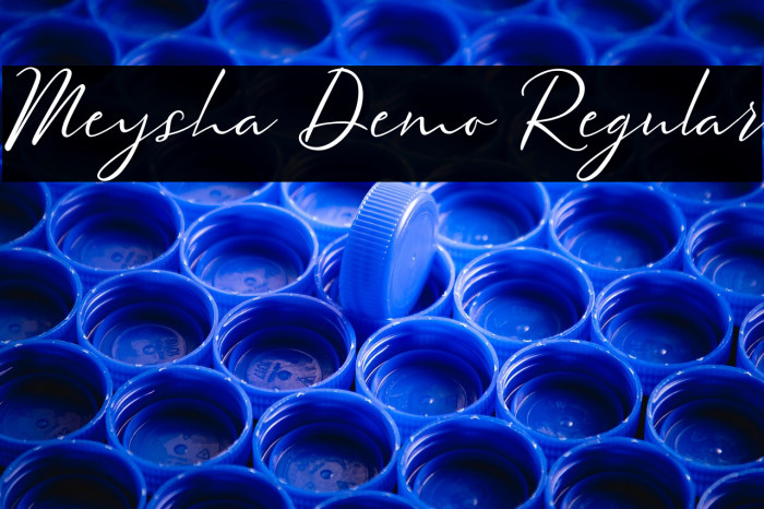 Meysha Demo Regular Example 2