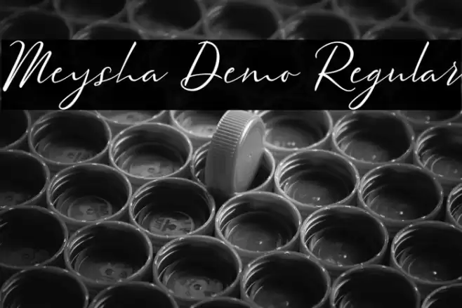 Meysha Demo Regular Font examples