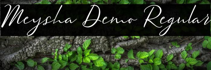 Meysha Demo Regular Example 3