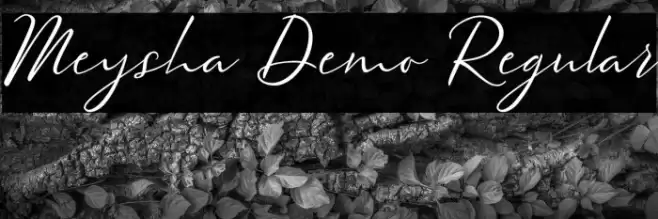 Meysha Demo Regular Font examples