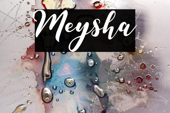 Meysha Example 2