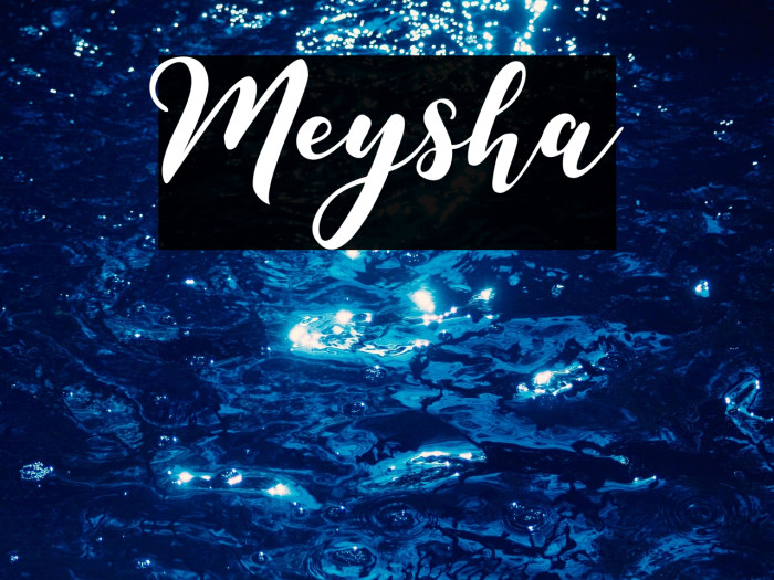 Meysha Example 3