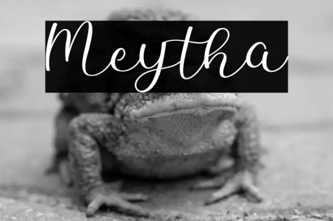 Meytha Example 1