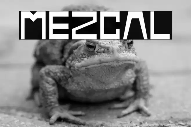 Mezcal Font examples