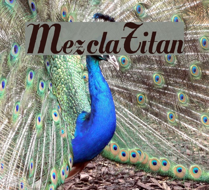 MezclaTitan Example 2