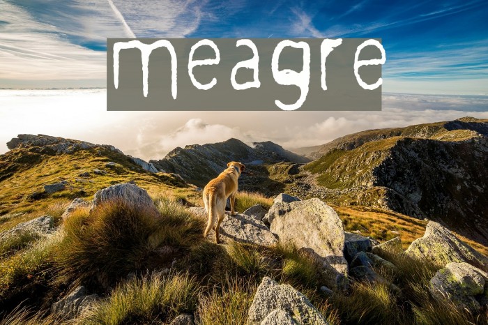 meagre Font examples