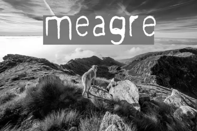 meagre Example 2