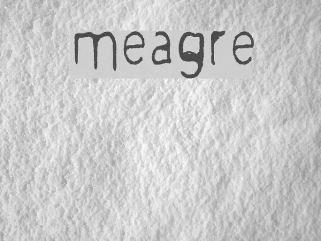 meagre Example 3
