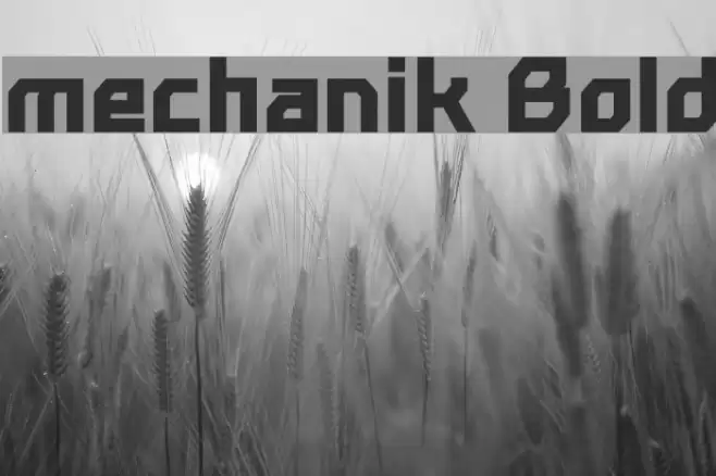 mechanik Bold Font examples
